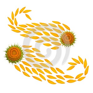 Creative idea flower of a sunflower and petals flying