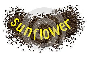 Creative idea flower of a sunflower seeds