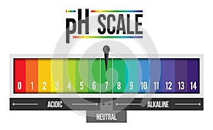 Creative illustration of pH scale value isolated on background. Chemical art design infographic. Abstract concept graphic litmus