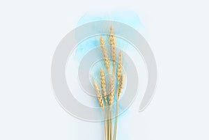 Creative image of beautiful wheat crops on artistic ink background. Top view with copy space. Symbols of jewish holiday - Shavuot