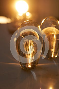 Creative jellyfish incluse decoration standing on a table illuminated with sunlight in a cozy cafe