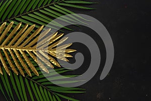 Creative layout with gold and green tropical palm leaves on black background. Minimal summer abstract pattern