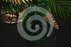 Creative layout with gold and green tropical palm leaves on black background. Minimal summer abstract pattern