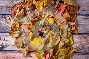 Creative layout made of autumn leaves.Flat lay.Nature concept