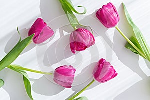 Creative layout made of beautiful tulip flowers closeup on white background with shadow. Spring floral pattern. Nature concept.