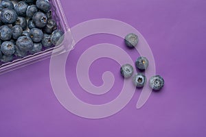 Creative layout made of blueberry on violet background