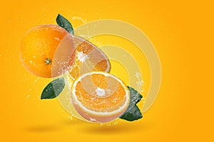 Creative layout made from Fresh Sliced oranges and Orange fruit with water Splashing on an orange background
