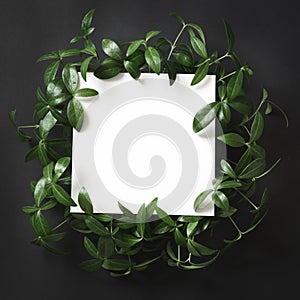Creative layout made of green leaves with empty blank for note on black background. Top view.