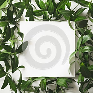 Creative layout made of green leaves with empty blank for note on white background. Top view.