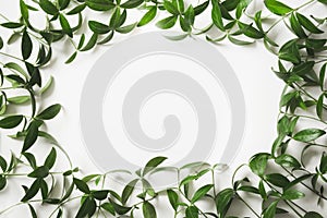 Creative layout made of green leaves with empty blank for note on white background. Top view.