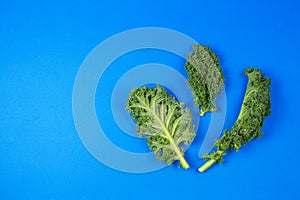 Creative layout made of kale leaves on blue background