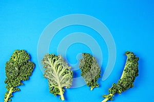 Creative layout made of kale leaves on blue background