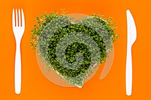 Creative layout made of sprout seed heart bowl. Flat lay, top view. Food ingredient pattern