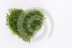 Creative layout made of sprout seed heart bowl. Flat lay, top view. Food ingredient pattern