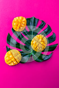 Creative layout made of summer tropical fruits mango and tropical leaves on pink background. Flat lay. Tropical food