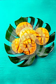 Creative layout made of summer tropical fruits mango and tropical leaves on turquoise background. Flat lay. Food concept