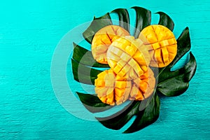 Creative layout made of summer tropical fruits mango and tropical leaves on turquoise background. Flat lay. Food concept