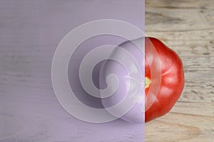 Creative layout made of tomato on wood backgruond. Painted purple and natural. Food concept.