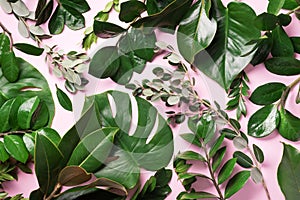 Creative layout made of tropical green leaves on pink background. Flat lay. Top view. Summer or spring nature concept. Blank for