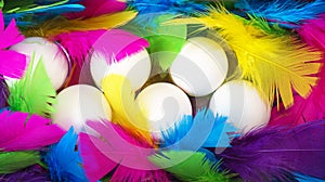 Creative layout made of white chicken eggs in wooden box with colorful feathers trendy neon colors. Spring and Easter holiday