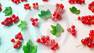 Creative layout of organic red currant and green leaves. Fruit pattern made of fresh berries and leaves on pastel background. Flat