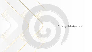 Creative luxury white minimal geometric with dynamic shapes abstract background wallpaper. Trendy Eps10 vector