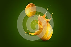 The Creative Mango splash