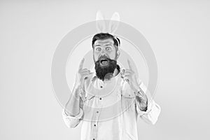 Creative mind. Easter rabbit got idea. Bearded man point fingers up yellow background. Idea to celebrate Easter. Holiday