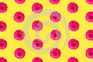Creative minimal flat lay pattern art composition. Pink flowers against yellow background. Creativ abstract concept art background