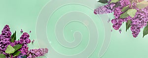 Creative minimalist banner with lilac flowers on trendy pale green background. Web banner. Top view, flat lay, copy