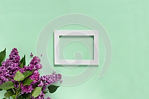 Creative minimalist banner with lilac flowers and white frame on trendy pale green background. Web banner. Top view