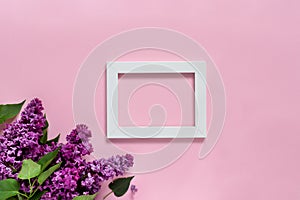 Creative minimalist banner with lilac flowers and white frame on trendy pink background. Web banner. Top view, flat lay