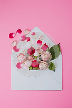 Creative mock up with pink tea rose flowers, petals fly out of paper envelope. Love message, letter and gift