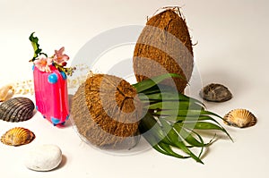 Creative mockup of fresh coconuts, pink suitcase and seashells, isolated on a white background. The concept of travel