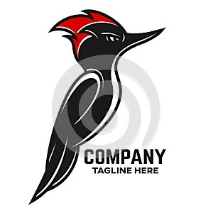 Creative and modern bird woodpecker logo
