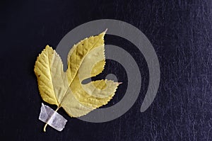 Creative multitasking background with fallen leaf and duct tape on black background