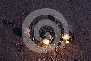 Creative mystic stock illustration of glowing shells on the beach at night