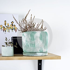 Creative Narural homemade flowerpot in green concrete with dried flowers on a shelf in a cozy home. Wabi sabi, eco green photo