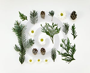 Creative natural layout of winter plants parts on white background. Flat lay, top view