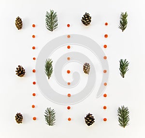 Creative natural pattern of winter plants on white background. Flat lay, top view