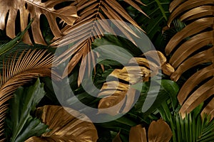 Creative nature background. Gold and green tropical Monstera and palm leaves.