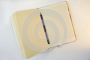 Creative notepad with the blue pen. Top view
