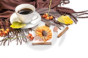 Creative pattern arrangement. Autumn composition made of dried leaves,dogrose berries and flower on white background.