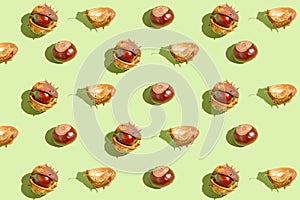 Creative pattern made of chestnuts on  green pastel background. Nature consept. Falll and autumn theme