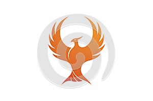 Creative Phoenix Bird Logo