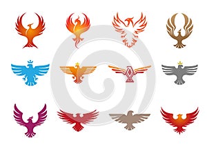 Creative phoenix birds collection logo design symbol vector