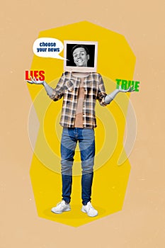 Creative photo 3d collage poster postcard artwork of journalist person offer choose your news lies vs true isolated on