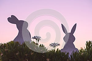 Creative photo of two silhouette paper rabbits in the chamomile flowers and green grass on the sunset sky background