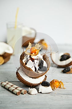 Creative presentation of ice cream in coconut shell, decorated with mulberry and physalis berries
