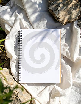 Creative rituals unfold in nature with